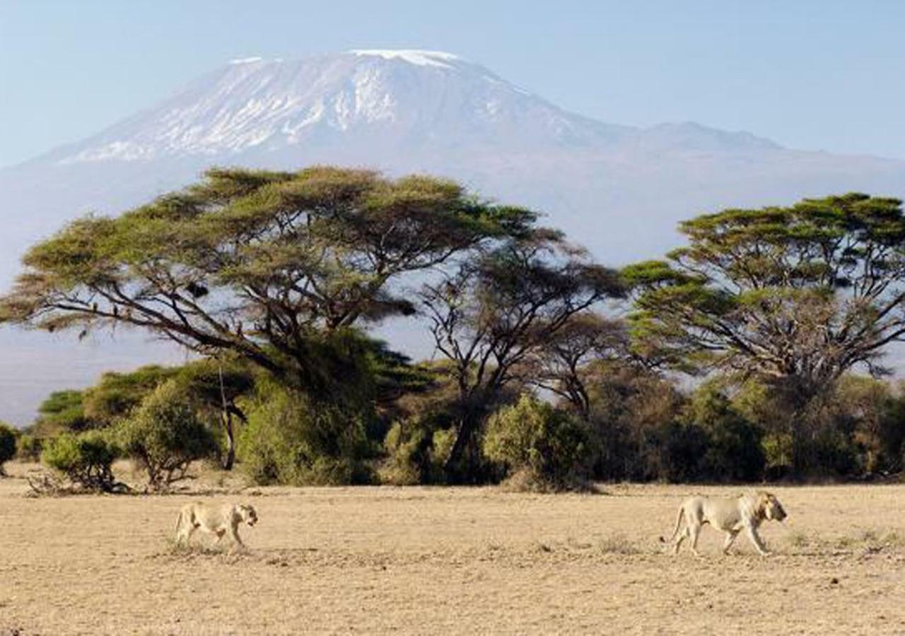 Aa Lodge Amboseli Kültér fotó