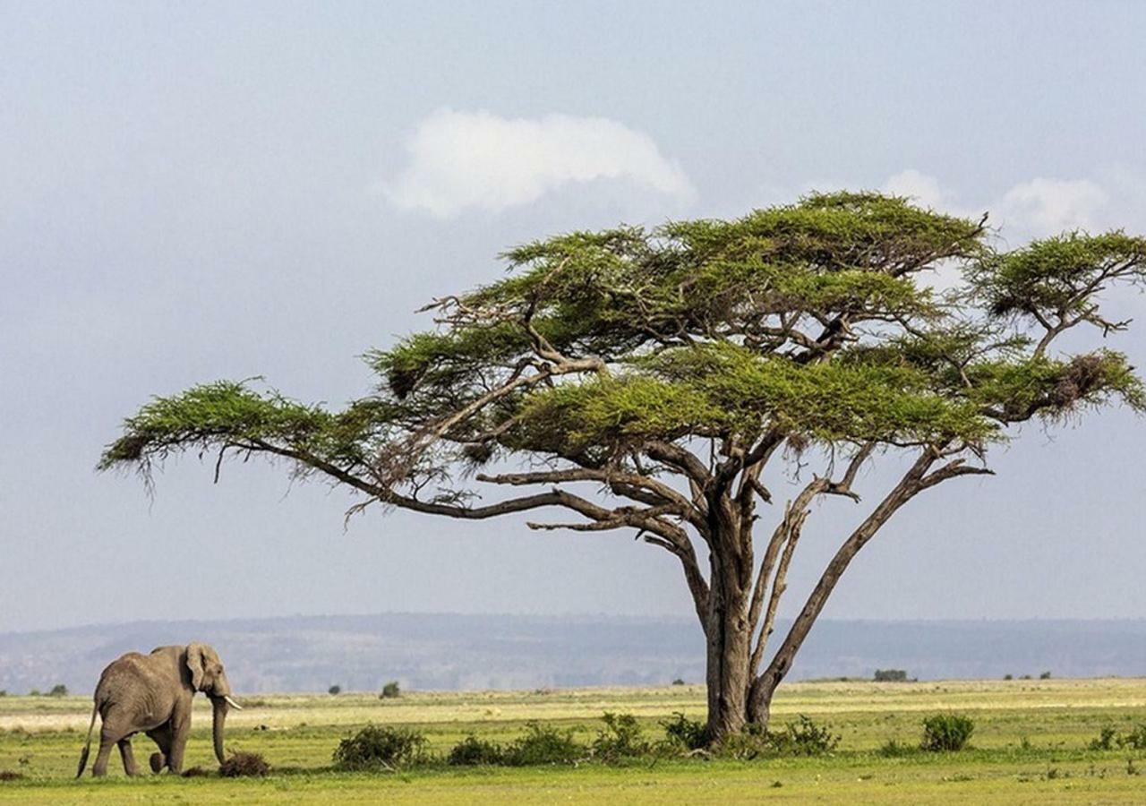 Aa Lodge Amboseli Kültér fotó